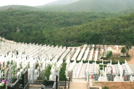 炎黄陵园地势