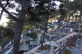 金山陵园山坡
