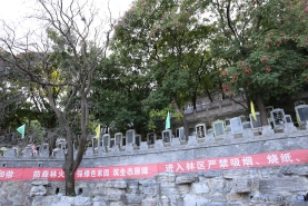 金山陵园