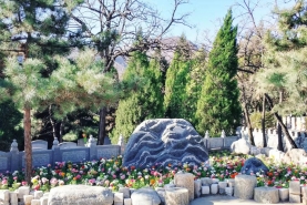 温泉墓园环境
