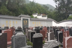墓区实拍