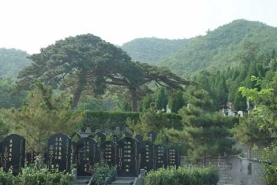 温泉墓园