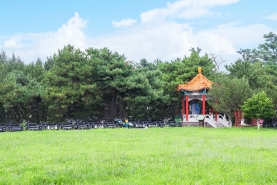 天慈墓园景观