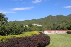 陵园草坪