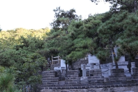金山陵园山坡