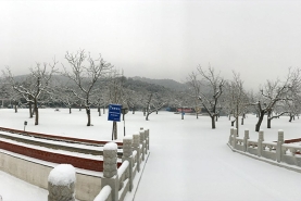 怀柔凤凰山陵园冬日景象