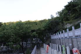 金山陵园墓区环境