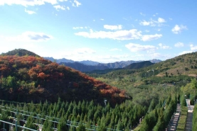 景仰园环境实拍
