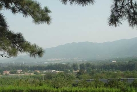 温泉墓园