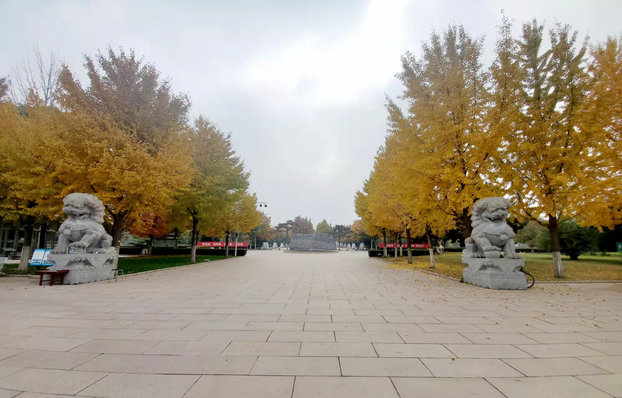 长青园骨灰林秋季景象