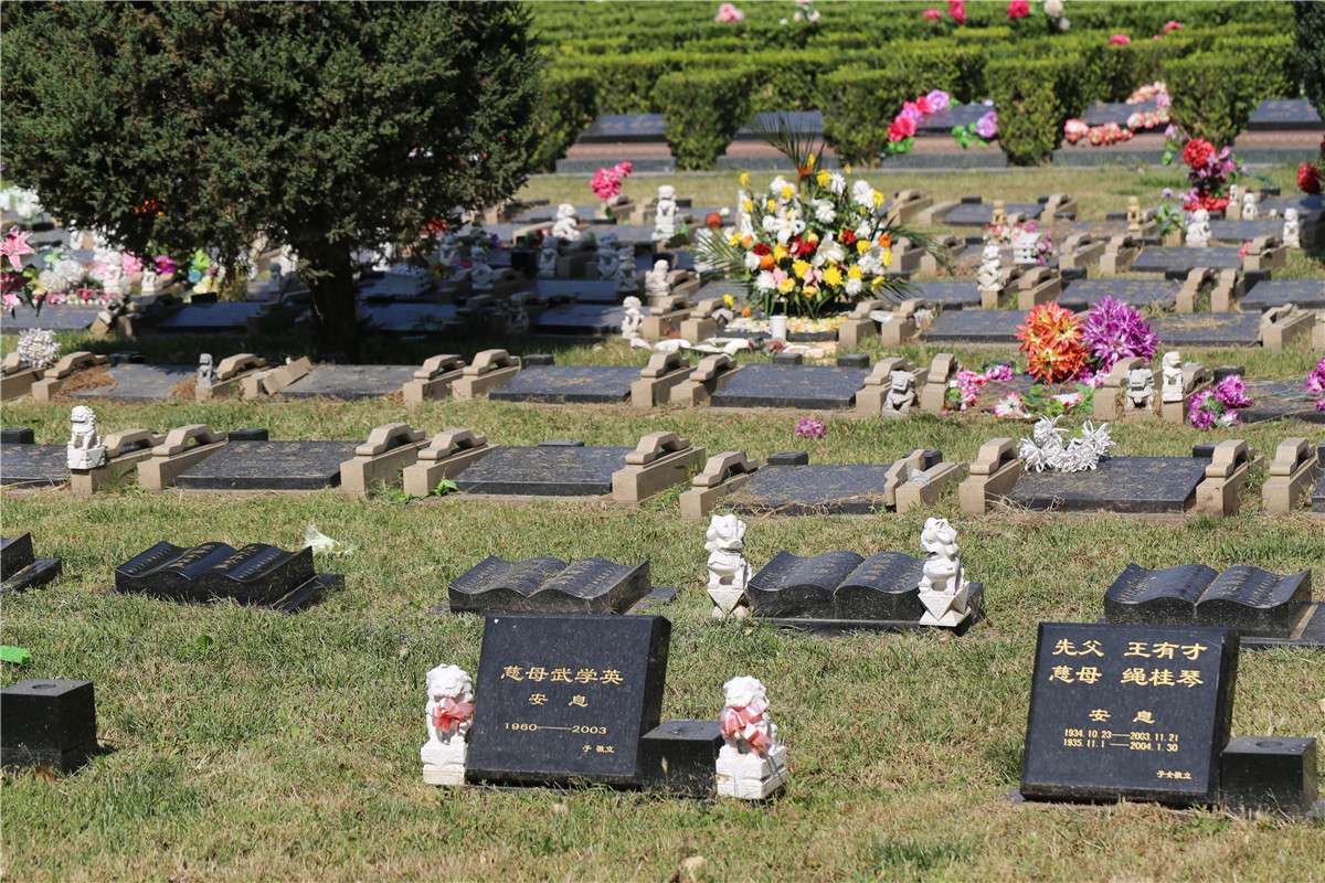 长青园骨灰林墓型