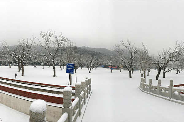 怀柔凤凰山陵园冬日景象