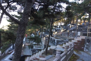  金山陵园 ，详细介绍便民举措说明，全面介绍公共交通路线