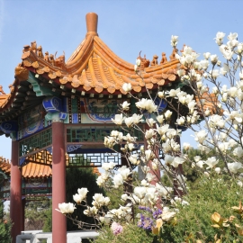 朝阳陵园墓型选择指南及交通路线推荐