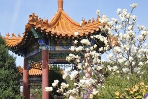 朝阳陵园墓型选择指南及交通路线推荐