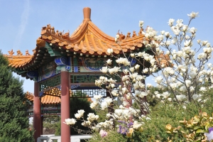 朝阳陵园墓型选择指南及交通路线推荐