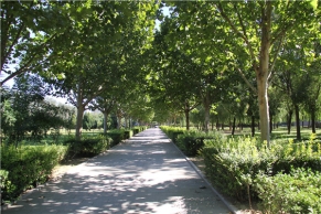 外侨公墓：环境优越的涉外陵园优选