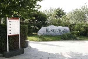 万安公墓购墓指南：类型选择与手续流程