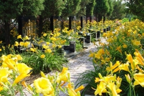 思亲园陵园：传承福泽的安心之选