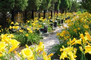 思亲园陵园：传承福泽的安心之选