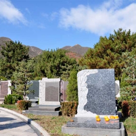 深度剖析：天寿陵园生态环境介绍