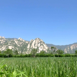 长安园公墓区位优势与环境规划详解