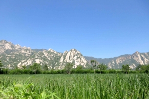 长安园公墓区位优势与环境规划详解