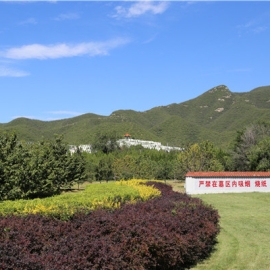  炎黄陵园价格实惠环境优美推荐  
2. 炎黄陵园性价比高交通便利首选  
3. 炎黄陵园风水佳服务优质口碑好  
4. 炎黄陵园环境优雅价位