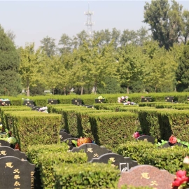 长青园四季景观特色与服务全解析