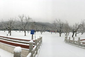  怀柔凤凰山陵园 ，公共交通路线，生态环境介绍