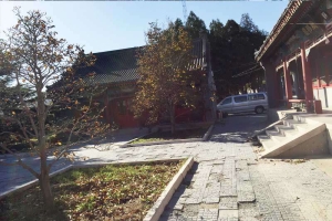 金山陵园墓型价格与环境实景对比