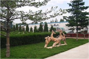 天堂公墓位置指南及交通路线详解