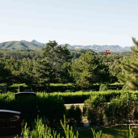  华龙皇家陵园 ，冬季开放时间，自驾来园指南