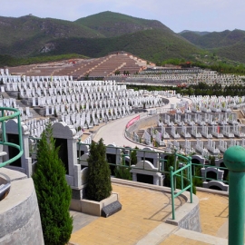 炎黄陵园景观特色与园区导览详解