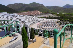 炎黄陵园景观特色与园区导览详解