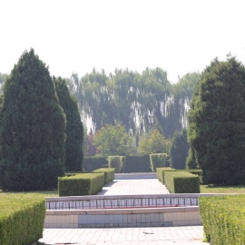 长青园骨灰林全解析：环境服务与安葬指南