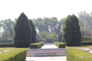 长青园骨灰林全解析：环境服务与安葬指南