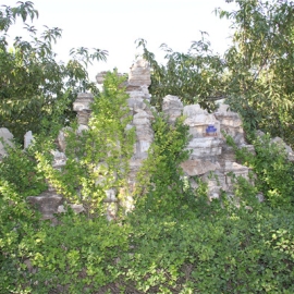 惠灵山陵园实景环境全览 园区风貌深度解析