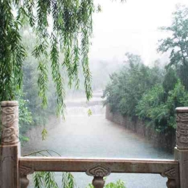 景仰园公墓环境服务全解析及最新优惠指南