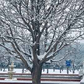 怀柔凤凰山陵园环境特色与管理服务解析