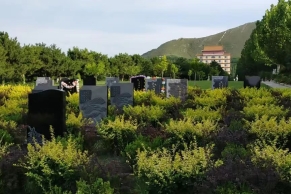 灵山宝塔陵园，怎么坐车？风水格局评析