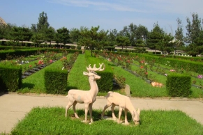  北京长安园公墓地址及交通路线指南