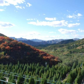 景仰园公墓交通指南：公交线路全解析