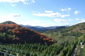 景仰园公墓，最新价格明细表，详细介绍四季景观展示