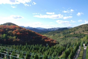  景仰园陵园 ，地理位置优势，人文景观讲解