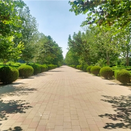 20字标题：万桐园公墓资质解析与选墓指南